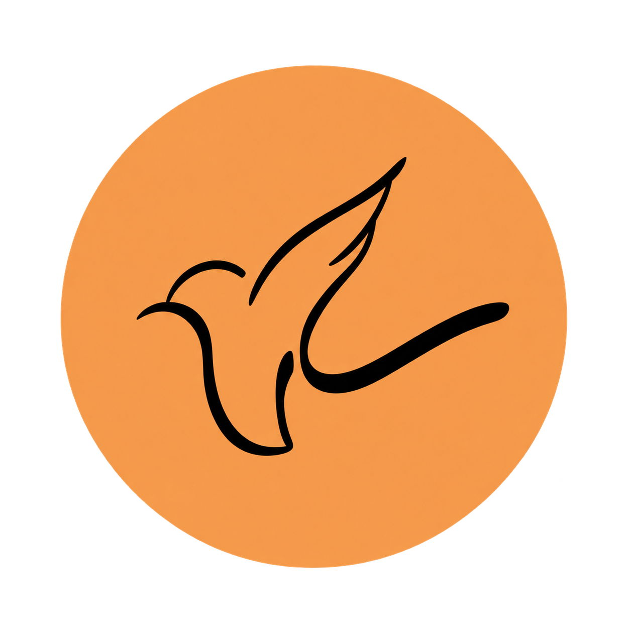 فروشگاه سارکالکشن